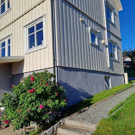 Warm And Cozy Apartment With Panoramic View Above The City Center Tromso Bagian luar foto