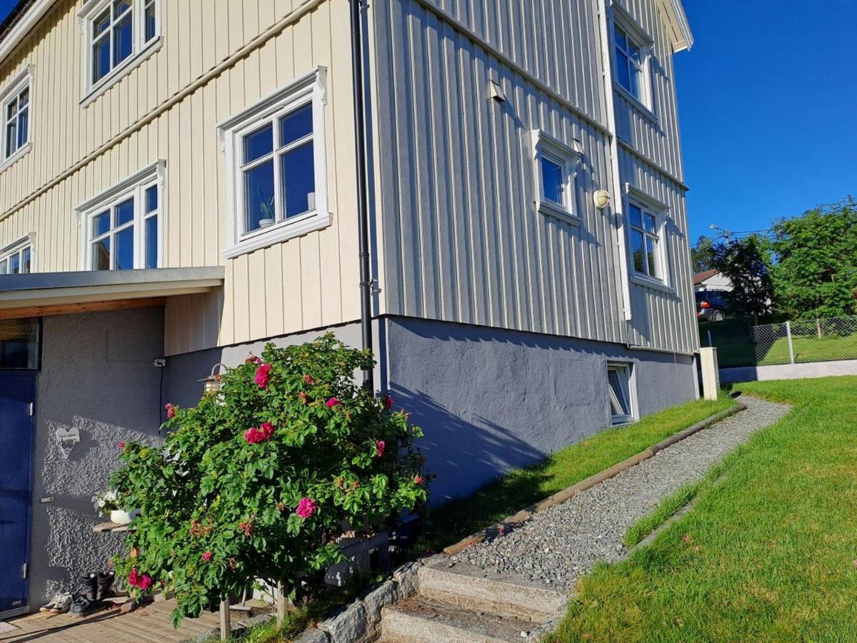 Warm And Cozy Apartment With Panoramic View Above The City Center Tromso Bagian luar foto